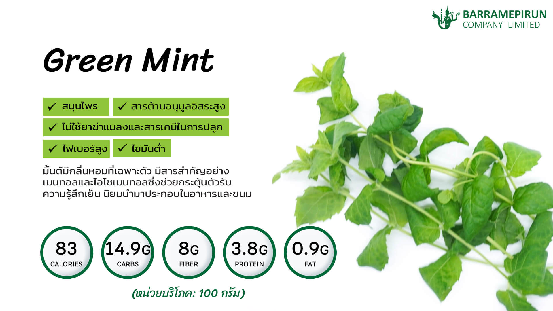 มินต์ Green Mint