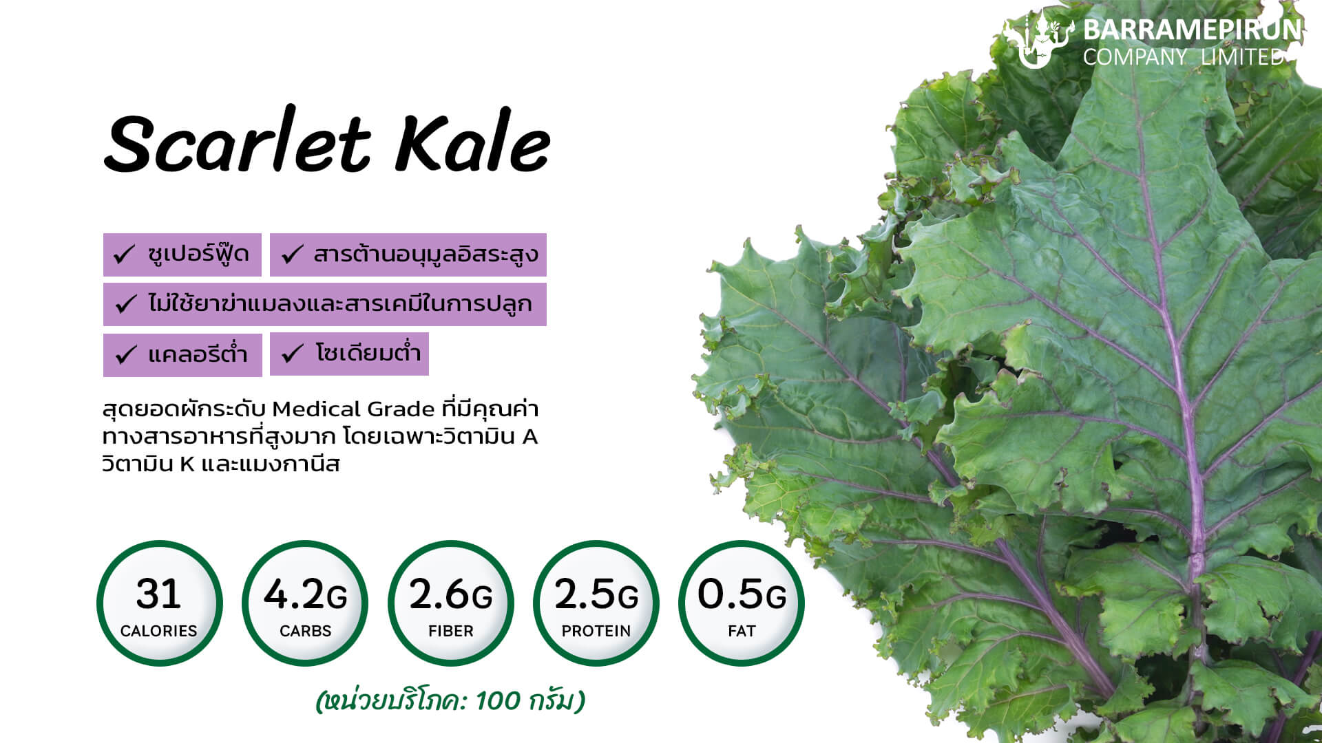 เคลสการ์เล็ต Scarlet Kale